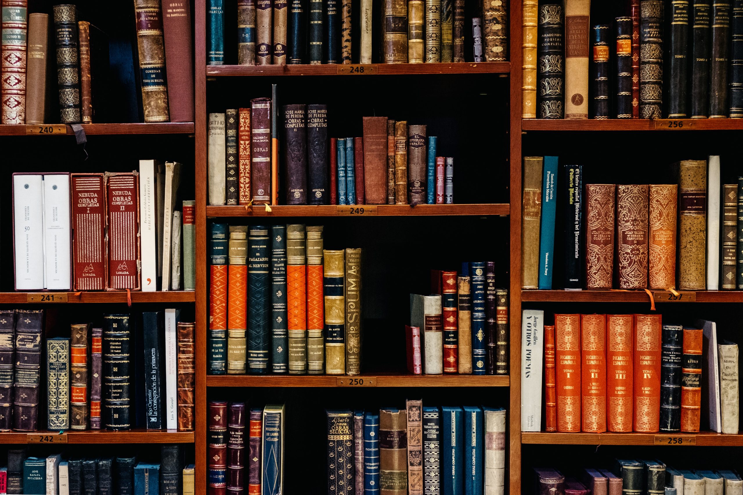 rows of books on shelves